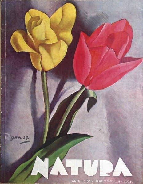 Tulipani - Natura - Rivista mensile illustrata