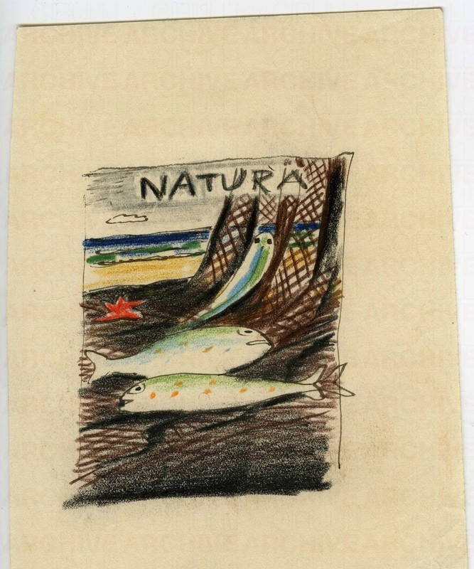 Studio per copertina della rivista mensile illustrata Natura Anno IV N°3